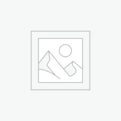 Uncategorized